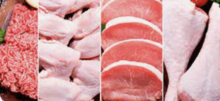 Captura de Tela 2025-06-12 às 12.54.56.png